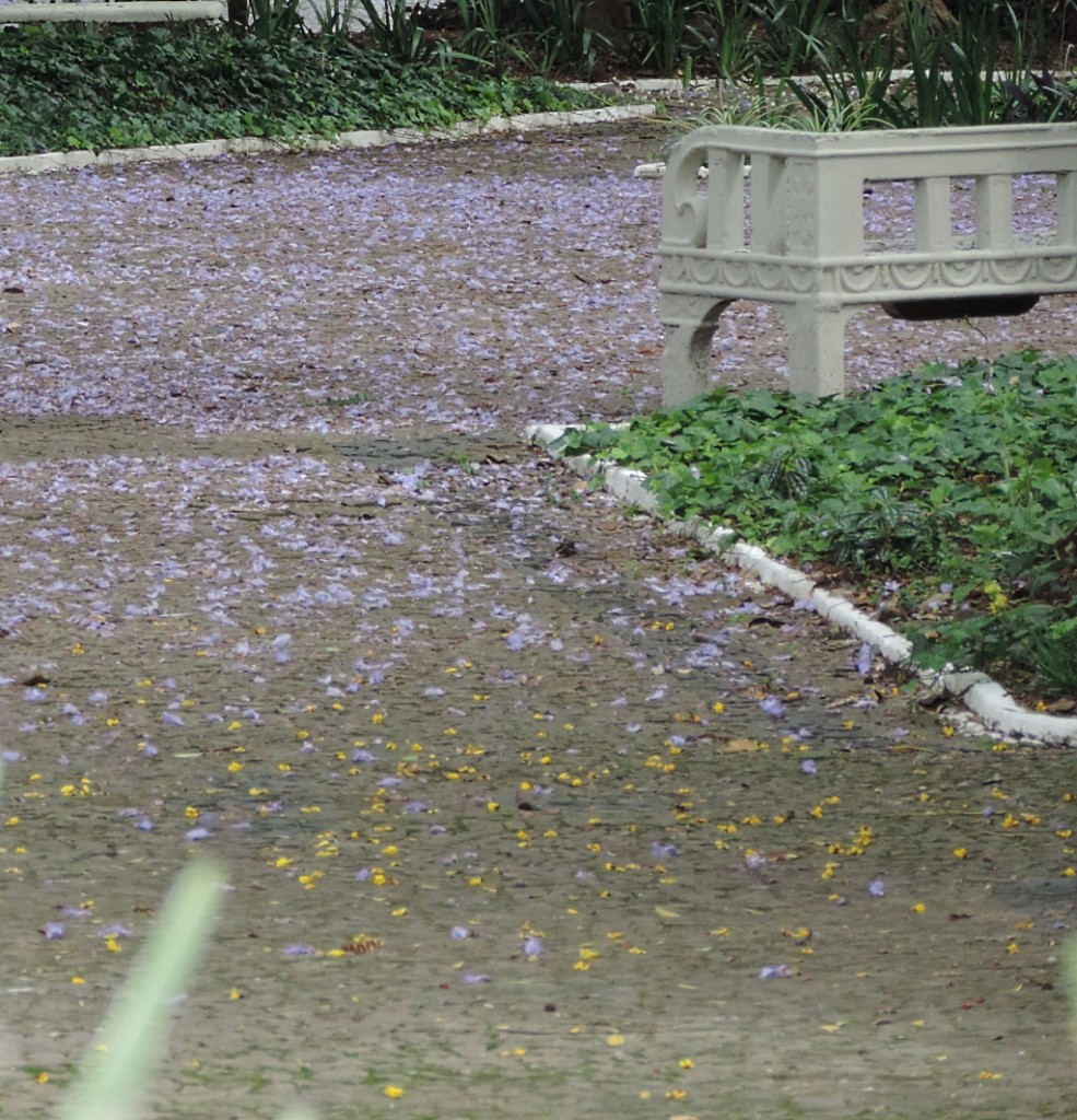 DSCN1447_R